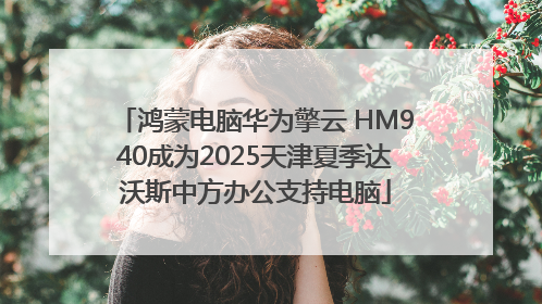 鸿蒙电脑华为擎云 HM940成为2025天津夏季达沃斯中方办公支持电脑